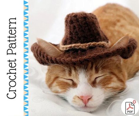 This fun Crochet Cowboy Hat Pattern can be crocheted with Chunky Weight Yarn [5] and a 4.5 mm (G) crochet hook. This pattern is recommended for advanced beginners or intermediate crocheters. Cat Cowboy Hat, Pumpkin Hat Pattern, Crochet Cowboy Hats, Cowboy Hat Pattern, Cat Cowboy, Crochet Pumpkin Hat, Cat Hat Pattern, Pet Crochet, Kat Haken