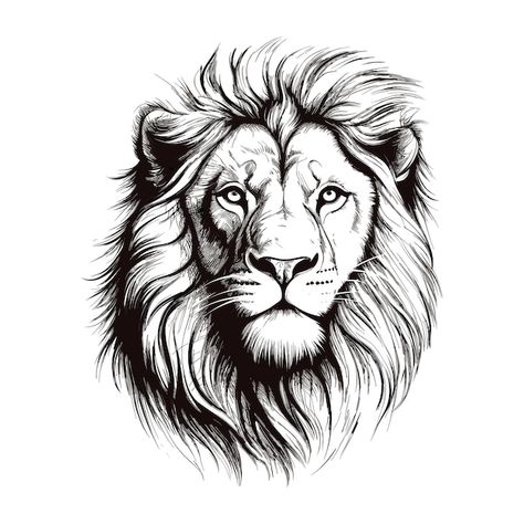 Lion Hand Tattoo Stencil, Lion Hand Tattoo Design, Sketch Lion Tattoo, Lion Head Drawing Sketches, Lions Head Drawing, Lion Face Illustration, Lion Sketch Simple, Male Lion Drawing, Lion Face Sketch