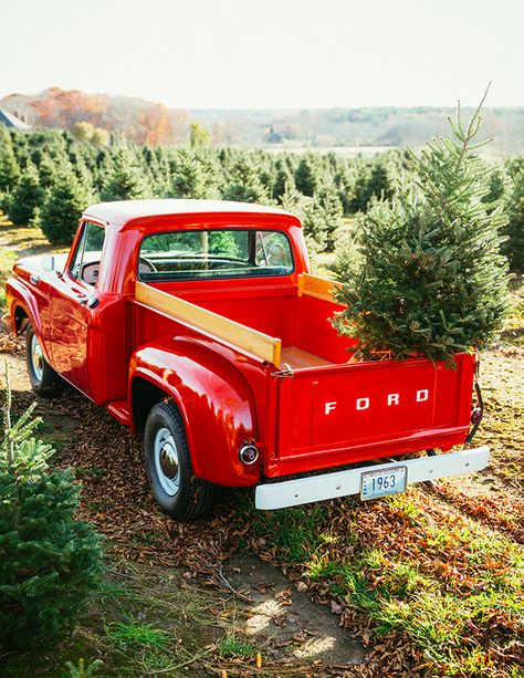 Classy Girls Wear Pearls: O Christmas Tree Christmas Birdhouse, Planning Christmas, Christmas Cars, Old Red Truck, Vintage Cart, Magical House, Classy Girls Wear Pearls, Pick Up Truck, Old Pickup