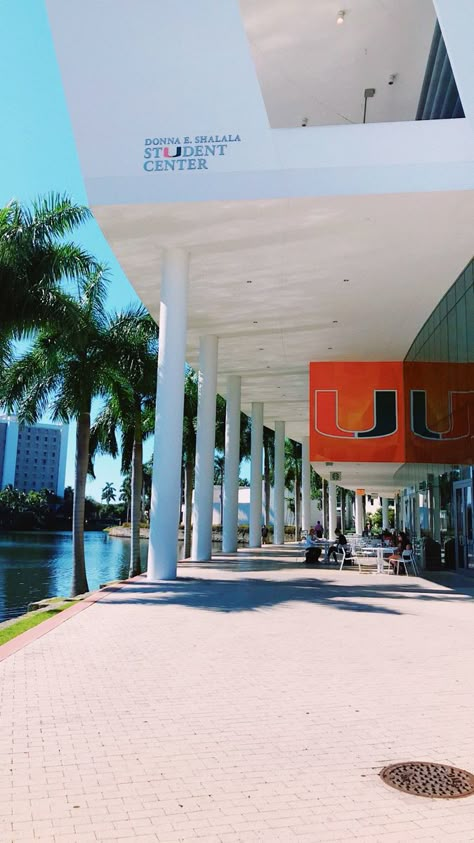 University Of Miami Aesthetic Campus, Miami College Aesthetic, The University Of Miami, U Miami Aesthetic, Umiami Student Aesthetic, University Of Miami Aesthetic, Umiami College, University Of Miami Campus, U Miami