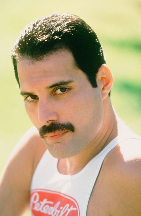 Freddie Mercury on Twitter: "“It's a beautiful day, the sun is shining, I feel good, and no one's gonna stop me” ☀ #MercuryMotivation… " King Of Queens, Freddy Mercury, Roger Taylor, Queen Freddie Mercury, John Deacon, Queen Band, Sun Is Shining, Killer Queen, Bohemian Rhapsody