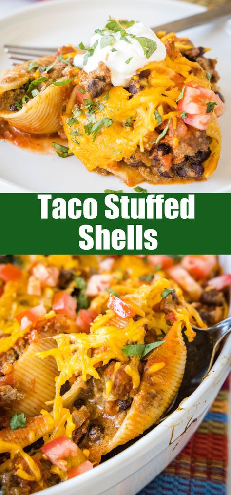 Cheesy taco stuffed shells are an easy Tex-Mex dinner made from jumbo pasta shells filled with creamy taco beef, salsa, and melty cheese. Pioneer Woman Stuffed Shells, Stuffed Taco Pasta Shells, Jumbo Shell Recipes, Shell Recipes, Mexican Stuffed Shells, Taco Shell Recipe, Taco Beef, Homemade Salsa Verde, Pasta Ideas