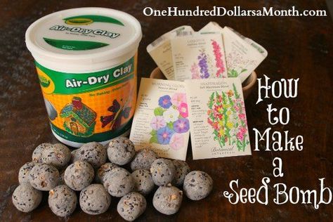 Seed bombs to teach the kids rogue gardening. Or to show how "life will find a way" Timothy Green, Guerrilla Gardening, Seed Balls, Garden Kids, Daisy Girl Scouts, Colorful Outfits, Theme Nature, School Garden, Seed Paper