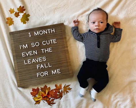 Month Newborn Pictures, September Baby Pictures Ideas, September 3 Month Baby Pictures, 2 Month Baby Picture Ideas November, 2 Month Baby Picture Ideas August, One Month Old Baby Pictures November, Two Month Milestone Picture, September 1 Month Old Baby Pictures, 4 Month Fall Baby Pictures