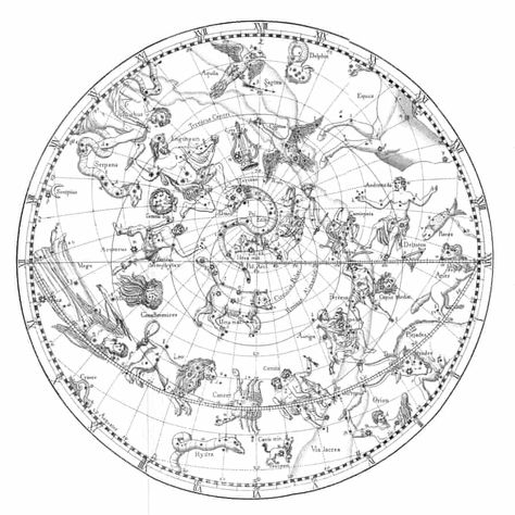 How astrology paved the way for predictive analytics | History of science | The Guardian Neoclassic Tattoo, Mythological Drawings, Greek Astrology, Vintage Astrology Illustrations, Astrocartography Lines, Hermetic Art, Astrology Map, Astro Cartography, Old Astronomy Illustration