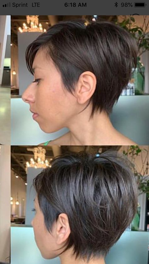 Long Pixie Haircut Back View, Short Back Long Front Haircut Pixie Hair, Dark Brown Long Pixie Haircut, Short Back Long Front Haircut, "bixie" Haircut 2022 Brunette, Front Haircut, "bixie" Haircut 2022 Back View, "bixie" Haircut 2022 Fine Hair, Hair Asymmetrical