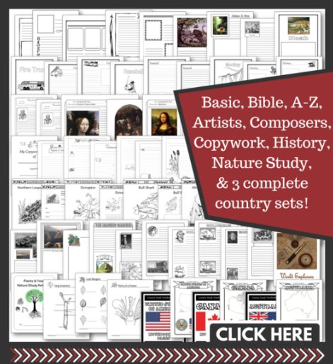 Over 600 FREE NOTEBOOKING PAGES!! Including 3 Complete Country Study Sets! High School Subjects, Christian Classroom, Country Study, Notebooking Pages, Lap Books, Lap Book, Country Studies, Homeschool Freebies, Homeschool Board