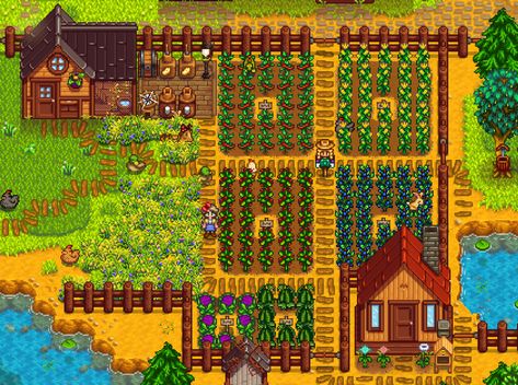 Stardew Valley Summer, Stardew Layout, Stardew Valley Farm Ideas, Stardew Valley Farm Layout, Farm Layouts, Stardew Farm, Summer Crops, Stardew Farms, Stardew Valley Ideas