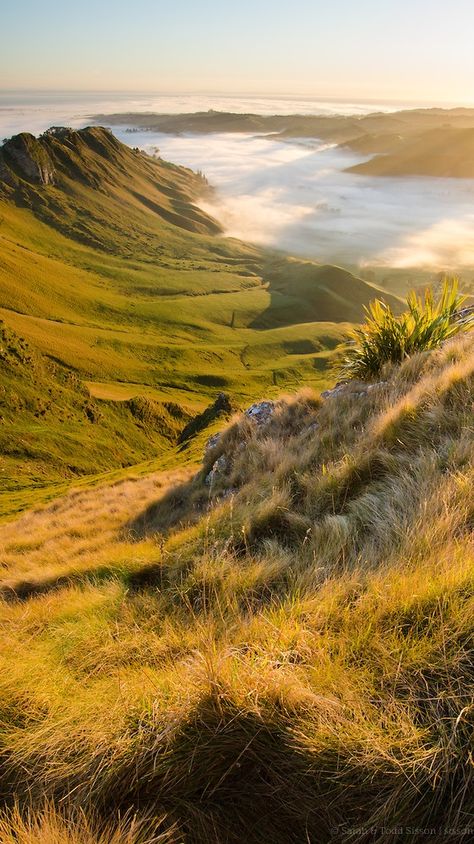 Dawn view from Te Mata Peak, Hawkes Bay, North Island, New Zealand Websites For Photographers, North Island New Zealand, Hawkes Bay, Farm Land, New Zealand Landscape, New Zealand North, Best Websites, Photography Websites, Beautiful Background