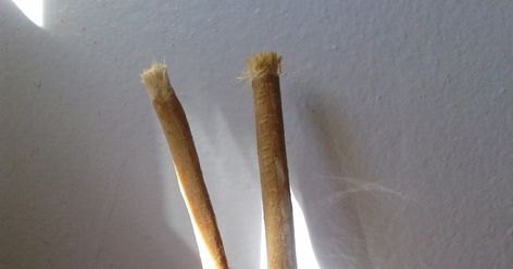 Instant Organic Toothbrush - Miswak - No Toothpaste Needed:  HoarderRehab Review #3 I am so excited!!! I have finally found an instant or... Chipped Tooth, Oil Bar, Organic Virgin Coconut Oil, Brush My Teeth, Virgin Coconut Oil, Tree Oil, Oral Hygiene, Teeth Cleaning, Horse Hair