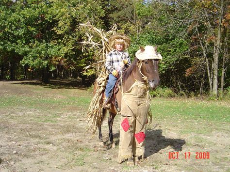 Horse Fancy Dress Costume, Horse Halloween Ideas, Horse Fancy Dress, Pony Costume, Horse Halloween Costumes, Horse Halloween, Halloween Horse, Horse Costume, Pet Information