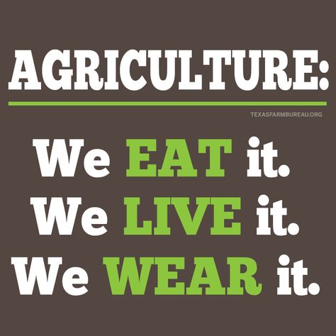 Our past. Our present. And our future. They all depend on agriculture. Farm Vision Board Pictures, I Believe In The Future Of Agriculture, Agriculture Sayings, Agriculture Slogans, Formal Attire Women Id Picture, First Page Of Project, Women In Agriculture, Personal Effectiveness, Technology In Agriculture