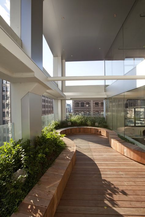 Advertising Agency Office, Terrace Office, Roof Landscape, Green Ceiling, Collaboration Area, Architecture Company, New York Office, Curved Furniture, Corporate Office Design