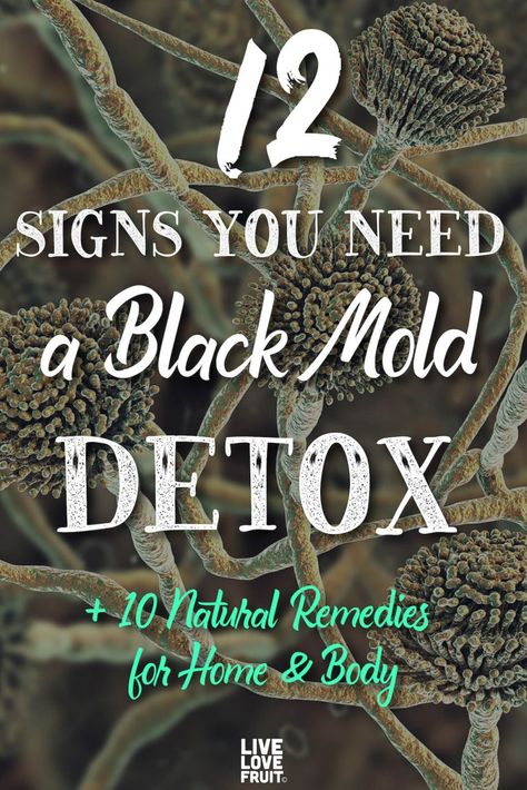 Black Mold Symptoms, Clean Black Mold, Mold Allergy, Detox Your Home, Mold Exposure, Black Mold, Cleaning Mold, Natural Antibiotics, 12 Signs