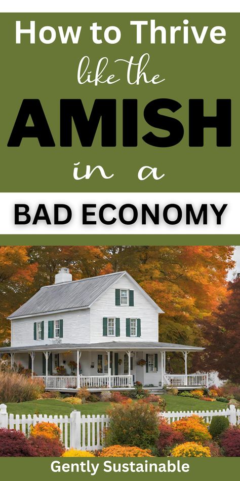 Back To Basics Living, Amish Living, Amish Culture, Amish Crafts, Homesteading Diy, Farm Plans, Homestead Farm, Homesteading Skills, Homestead Living