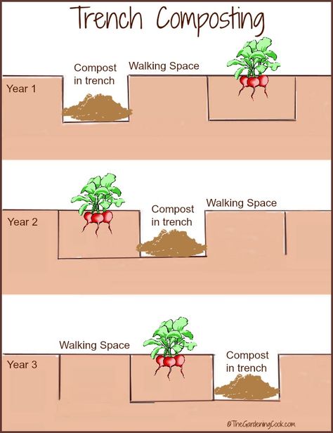 Trench composting is an effective way to combine crop rotation and composting in one easy to use procedure. thegardeningcook.com Trench Composting, Worm Farms, Food Forests, Vegetable Planting, Compost Bucket, Companion Gardening, Kitchen Scraps, Garden Compost, Small Backyard Gardens