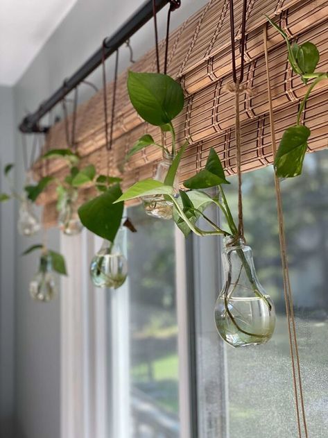 Diy Window Valance, Window Plant Shelf, Filled Vases, Plant Window, Window Plants, Indoor Window, White Sheer Curtains, Hanging Plants Indoor, Diy Window