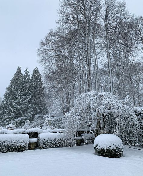 Winter Garden Aesthetic, Snow Garden, Winter Garden Photography, Garden In Winter Aesthetic, Snowy Mansion Aesthetic, Winter Garden Snow, Snowy Garden Aesthetic, Winter Outdoors, Rose Trellis