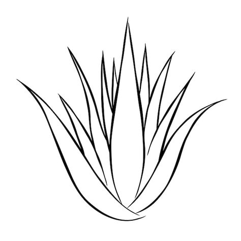 Vector bush of aloe vera plant doodle sk... | Premium Vector #Freepik #vector #aloe #vera #aloe-vera #herbal Aloe Vera Plant Drawing, Aloe Vera Drawing, Aloe Vera Tattoo, Line Drawing Simple, Plant Doodle, Easy Animal Drawings, Easy Animals, Aloe Plant, Aloe Vera Plant