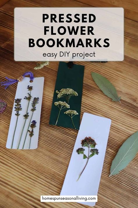 Create something beautiful with these easy DIY pressed flower bookmarks. A homemade project that's perfect for book lovers! Pressed Flower Bookmarks, Make Bookmarks, Pressed Flowers Diy, Flower Bookmarks, Homemade Books, Seasonal Living, Bookmark Card, Custom Bookmarks, Corner Bookmarks