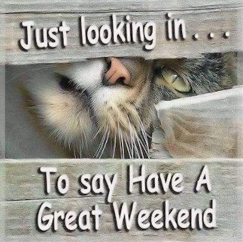 Have a great weekend quotes cute quote weekend days of the week weekend quotes happy weekend Great Weekend Quotes, Happy Saturday Quotes, Weekend Images, Weekend Greetings, Saturday Quotes, Daily Greetings, Happy Weekend Quotes, Weekend Quotes, Morning Quotes Funny