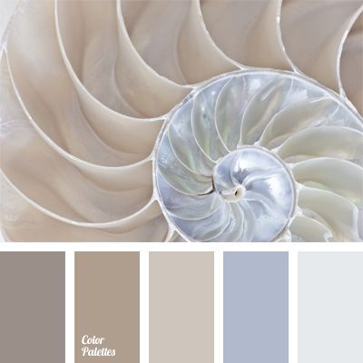 This color palette combines some shades of pearl color that can be easily used in the design of a bathroom or kitchen. Flat Bedroom, In Color Balance, Palettes Color, Color Palette Ideas, Palette Ideas, Neutral Shades, Color Palate, Color Balance, Colour Board