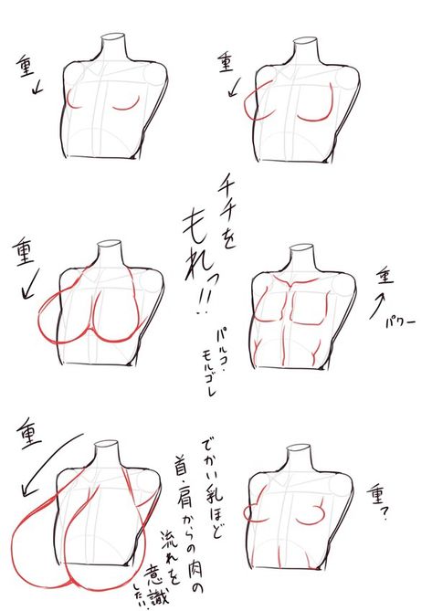 Anime Chest Size Reference, How To Draw A Female Chest, Torso Tutorial Female, Abs Female Draw, How To Draw Anime Bodies Female, Drawing Female Chest, Flat Chest Drawing Reference, Blanket Art Reference, How To Draw Woman Chest