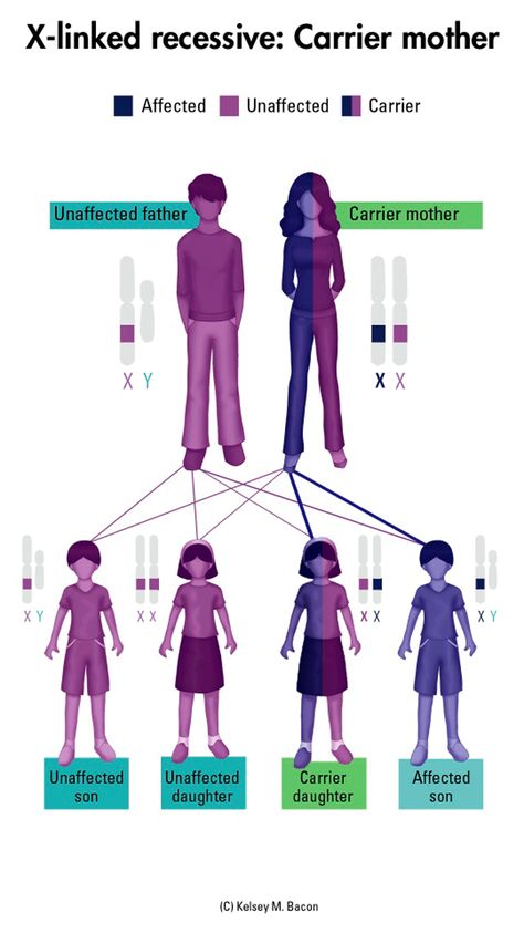 Hemophilia and Von Willebrand disease: Important information for understanding the inheritance of bleeding disorders. #hemophilia #von_willebrand Genetic Diseases Poster, Nursing Apps, Von Willebrand Disease, Blood Disorders, Boston Childrens Hospital, Pediatric Nurse Practitioner, Lab Science, Child Health, Genetic Diseases