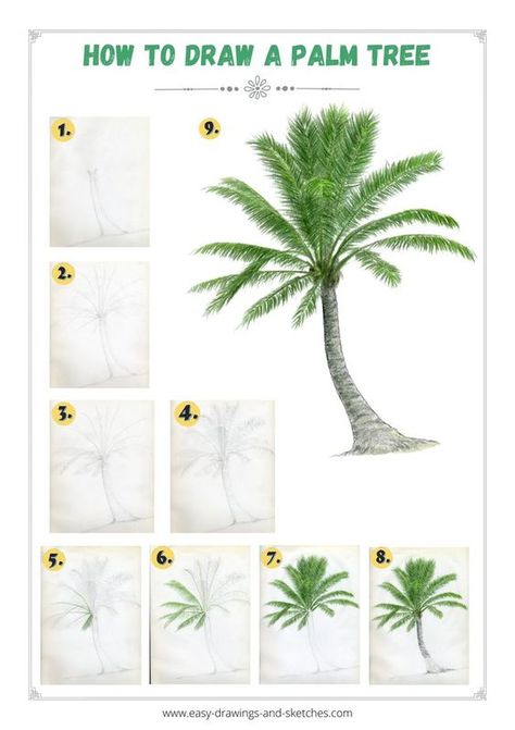 How To Draw A Palm Tree Easy, How To Draw A Palm Leaf, Palm Tree Sketch Simple, How To Draw A Palm Tree Step By Step, How To Paint A Palm Tree Step By Step, How To Draw Palm Trees, How To Draw A Palm Tree, Draw Palm Tree, Mexican Palm Tree