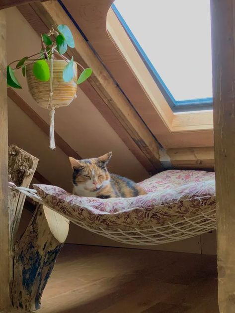 Charlotte Violet Happy Bohemian Home UK Tour Photos | Apartment Therapy Living With Cats Apartments, Cat Decor Ideas, Bedroom For Cats, Cozy Cat Room, Indoor Cat Room Ideas Diy, Cat Bedroom Aesthetic, Aesthetic Cat Furniture, Room Ideas For Dogs, Aesthetic Cat Stuff