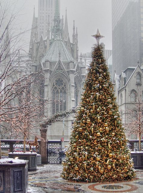 New York Palace Hotel (PHOTO) | Images courtesy of the New Y… | Flickr Christmas Tree Outside, New York Christmas Tree, Christmas Tree Photography, Christmas Tree Drawing, Merry Christmas Pictures, Nyc Christmas, Farmhouse Christmas Tree, Holiday Hotel, Winter Girl