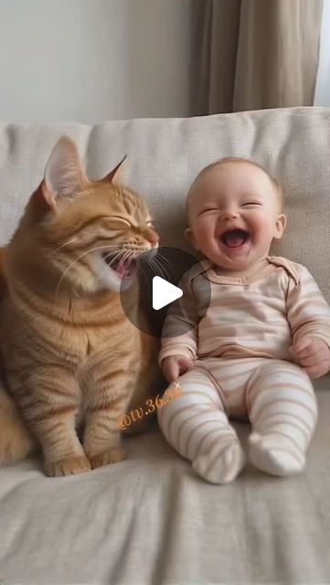 🅲🆄🆃🅴 🅱🅰🅱🅸🅴🆂 🆁🅴🅴🅻 🥰 on Instagram: "😂☺️ . . . . #babies #cute #babies #viral #trending #baby" Cats And Babies, Smile Cat, Animals Video, Kids Laughing, Cat Kids, Animal Cute, Baby Cat, October 29