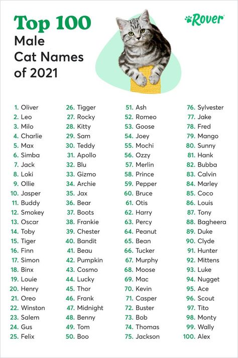 The results are in for 2021’s most popular male cat names in the US. If you’ve ever named a cat, you know how important it is to find the perfect name—one that matches their unique personality and maybe says a little about you, too. Kitten Breeds Chart, Plushie Names List, Make Cat Names, Name Cat Ideas, Rare Cat Names, Korean Cat Names, Aesthetic Pet Names, Names For Girl Cats, Male Black Cat Names