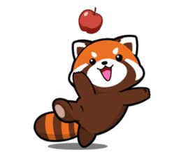 Kurimo: Red Panda (Lesser Panda) by P'Dora sticker #13016989 Red Panda Cartoon Drawing, Red Panda Clipart, Red Panda Art Cute, Red Panda Sticker, Red Panda Doodle, Cute Red Panda Drawing, Red Panda Illustration, Red Panda Drawing, Red Panda Cartoon