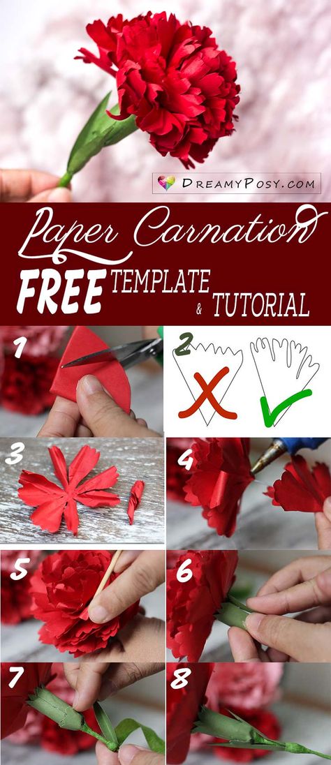 Free template and tutorial to make paper Carnation, paper flowers tutorial, flower making tutorial #paperflowers #freetemplate Paper Carnations, Fleurs Diy, Folding Origami, Easy Paper Flowers, Paper Flower Crafts, Paper Flower Template, Carnation Flower, How To Make Paper Flowers, Crepe Paper Flowers