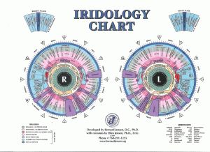 2021 Update on Reuben Schwartz Iridology Chart, Holistic Tips, Body Chart, Nutrition Chart, Reflexology Chart, Eye Chart, Body Systems, Alternative Health, Reflexology