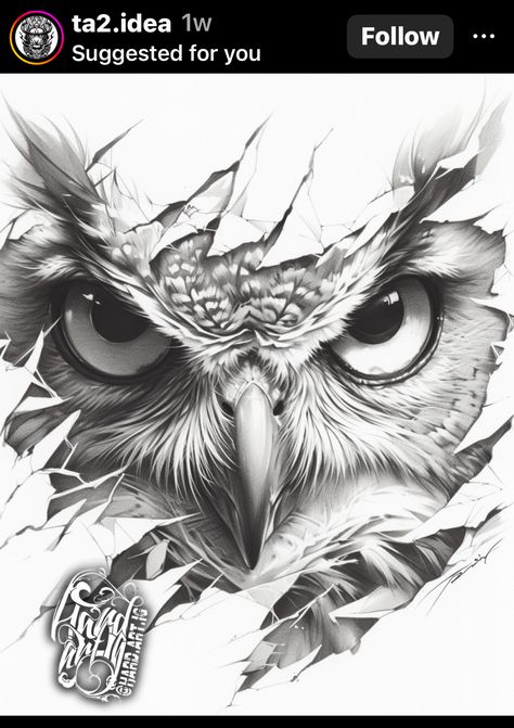 Owl Wing Tattoo, Owl Face Tattoo, Owl Eyes Tattoo, Owl Forearm Tattoo, Owl Eye Tattoo, Realistic Owl Tattoo, Indian Tattoo Design, Owl Tattoo Drawings, Bald Eagle Art