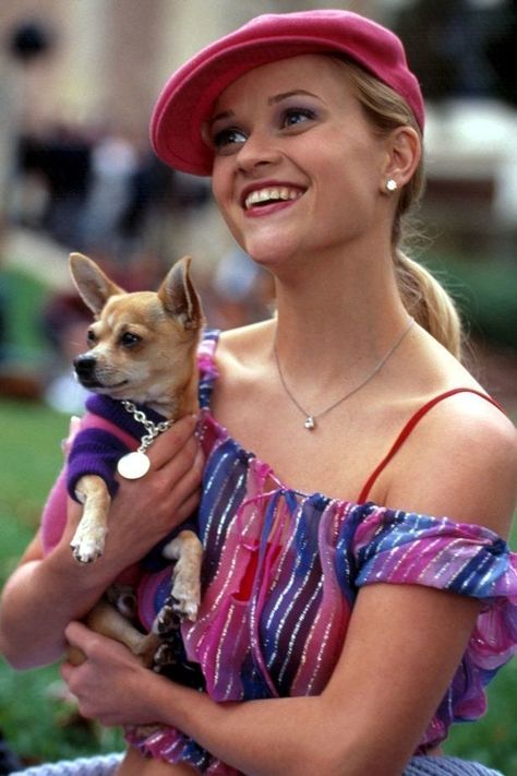 You're Wrong If You Don't Think Chihuahuas Are The Best Dogs On This Good Earth Bruiser Woods, Legally Blonde 3, Legally Blonde Movie, Blonde Movie, Luke Wilson, Elle Woods, Legally Blonde, Movie Fashion, Fav Movies