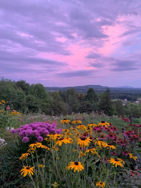 Vermont In Spring, Vermont Aesthetic Summer, Vermont Flowers, Grafton Vermont, Vermont Spring, Vermont Aesthetic, Summer Visionboard, Northern Vermont, Vermont Summer