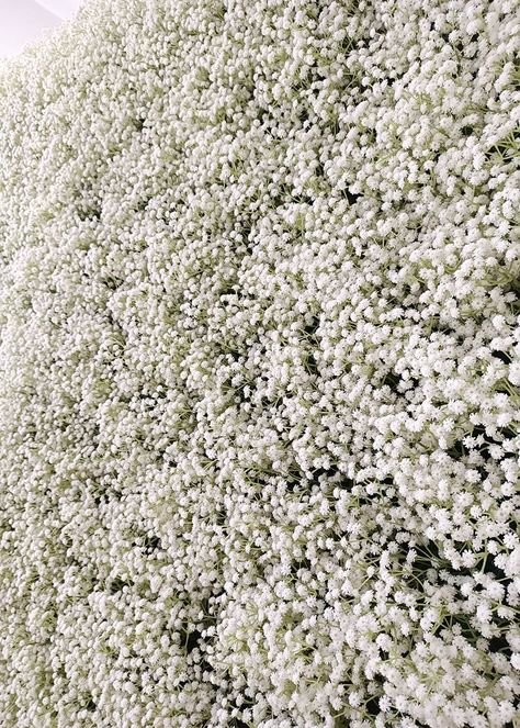 Boxwood Hedges, Drape Backdrop, Faux Flowers Wedding, Gypsophila Flower, Pipe And Drape Backdrop, Boxwood Hedge, Backdrop Stands, Flower Walls, Wedding Event Decor