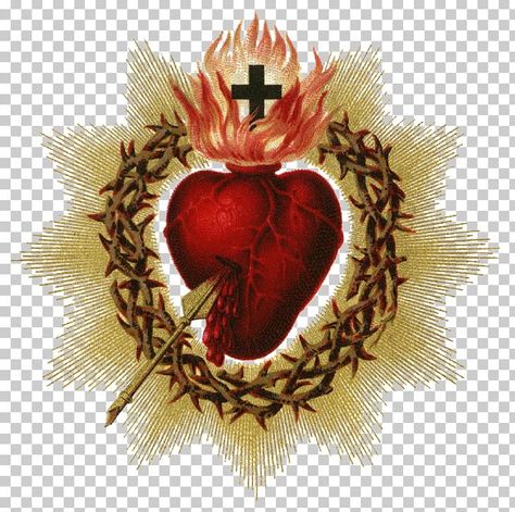 Amor Aesthetic, Friday Gif, Sacred Heart Art, Arrow Illustration, Sacred Heart Tattoos, Catholic Wallpaper, Wallpaper Heart, Eucharistic Adoration, Sacred Hearts