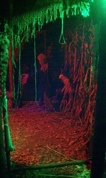 Existing the forest room. Haunted Trail Ideas, Maze Ideas, Haunted Corn Maze, Halloween Forest, Haunted Maze, Halloween Maze, Haunted House Diy, Forest Room, Dead Leaves