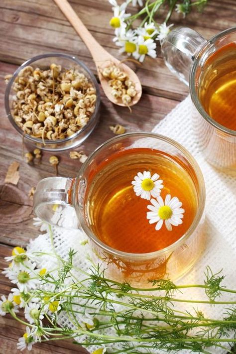 Create a Chamomile Border for 9 Amazing Reasons Herbal Tea Photography, Healing Tea Recipes, Teas For Health, Chamomile Tea Benefits, Herbal Tea Remedies, Ancestral Nutrition, Tea Remedies, Tea Photography, Tea Aesthetic