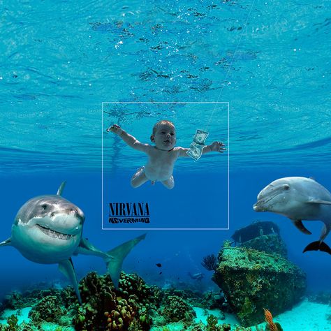 Bigger Picture: Famous Album Covers Extended To Reveal Background Action Nirvana Album Cover, Nirvana Album, Famous Album Covers, Nirvana Nevermind, Classic Album Covers, Music Background, Iconic Album Covers, Bigger Picture, Picture Albums