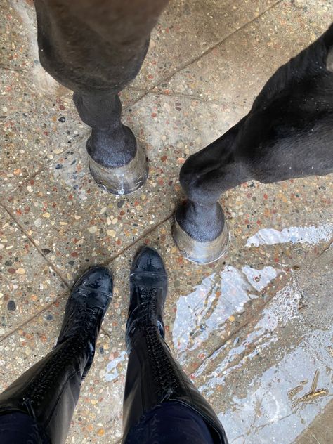 Riding Boots Aesthetic, Horse Land, Horse Hooves, Boots Aesthetic, Horse Riding Boots, Funny Horses, Horse Trainer, Horse Videos, Equestrian Boots