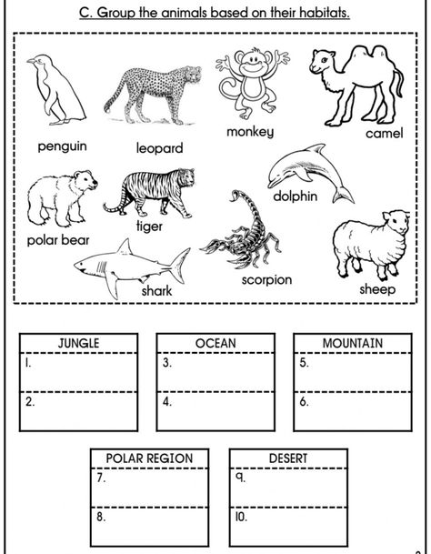 Animal Habitats Preschool, House Worksheet, Habitat Activities, Animal Lessons, Biology Worksheet, Second Grade Science, 1st Grade Science, Homeschool Worksheets, First Grade Science