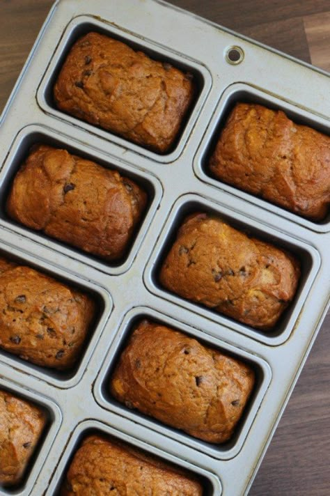 These mini pumpkin chocolate chip loaves are fun to snack on and quick to make. Mini chocolate chips, pumpkin, walnuts, nutmeg, and a burst of cinnamon combine to bring together the flavors of fall. Chocolate Chip Mini Loaves, Mini Loaf Recipes, Mini Loaf Pan Recipes, Loaf Pan Recipes, Persimmon Bread, Mini Bread Loaves, The Best Pumpkin Bread, Mini Loaf Cakes, Best Pumpkin Bread