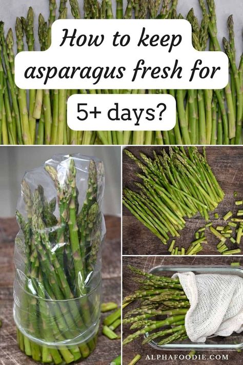 How to store asparagus so it stays fresh, crisp, and delicious in the fridge - a simple step-by-step guide! How To Keep Asparagus Fresh In Fridge, Freezing Fresh Asparagus, Storing Asparagus In Fridge, Freezing Asparagus How To, How To Keep Asparagus Fresh Longer, How To Store Asparagus In Fridge, Storing Asparagus, How To Freeze Asparagus, Freezing Asparagus