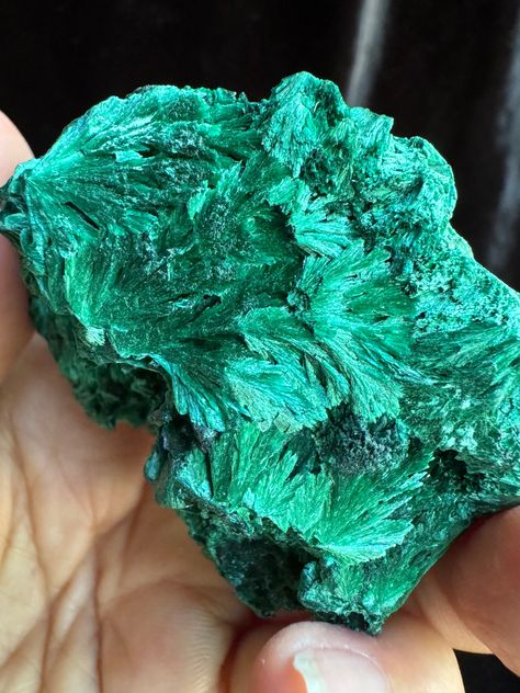 Another gorgeous piece of raw fibrous malachite (aka velvet malachite). It weighs 153 grams and is approximately 2 3/8 x 2 1/4 x 1 1/4. A stunning addition to any collection!  As with any raw malachite always wash hands after handling Fibrous Malachite, Velvet Malachite, Raw Gemstones Rocks, Raw Malachite, Crystal Witch, Chemical Elements, Jewelry Stones, Lucky Green, Rock Hounding