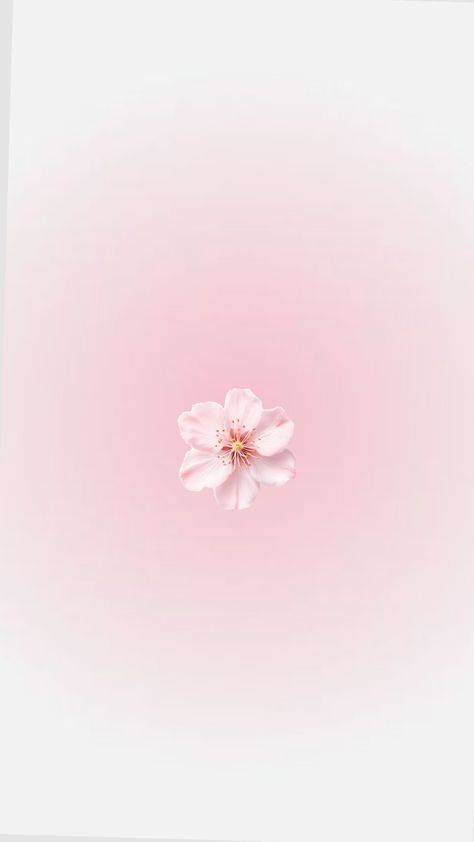 Pastel Pink Minimalist Wallpaper, Ipad Lockscreen Pink, Image Aesthetic Rose, Tablet Homescreen Ideas, Pink Ios Wallpaper, Pink Aesthetic Desktop, Ipad Homescreen Ideas Aesthetic, Pink Aesthetic Flowers, Pinky Wallpaper